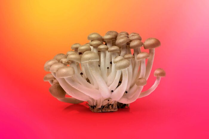 企業應該防範的邪惡數碼分身